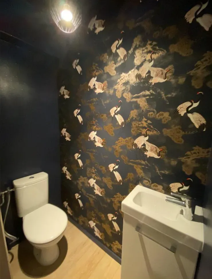 Rénovation toilette 1webp